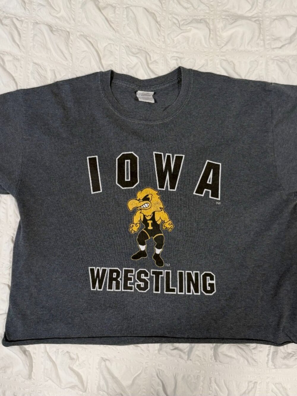 Vintage Iowa Hawkeye Wrestling Tee